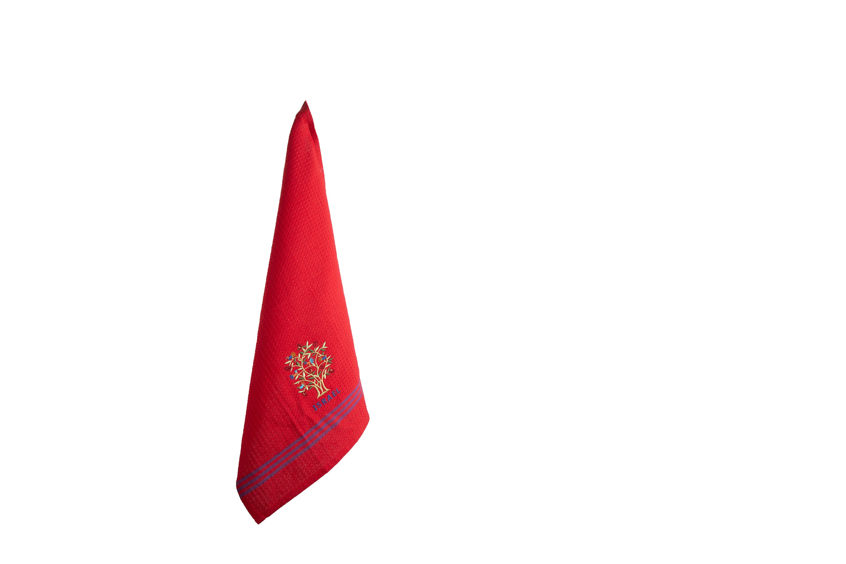 TMB-1D_1.jpg