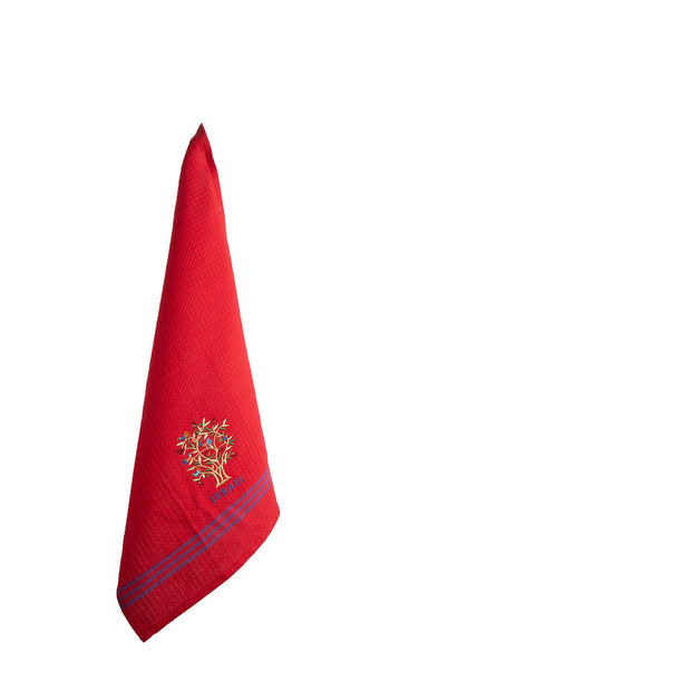 TMB-1D_1.jpg