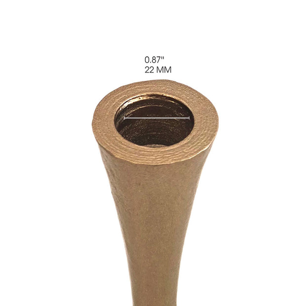 CNF-1_2.jpg